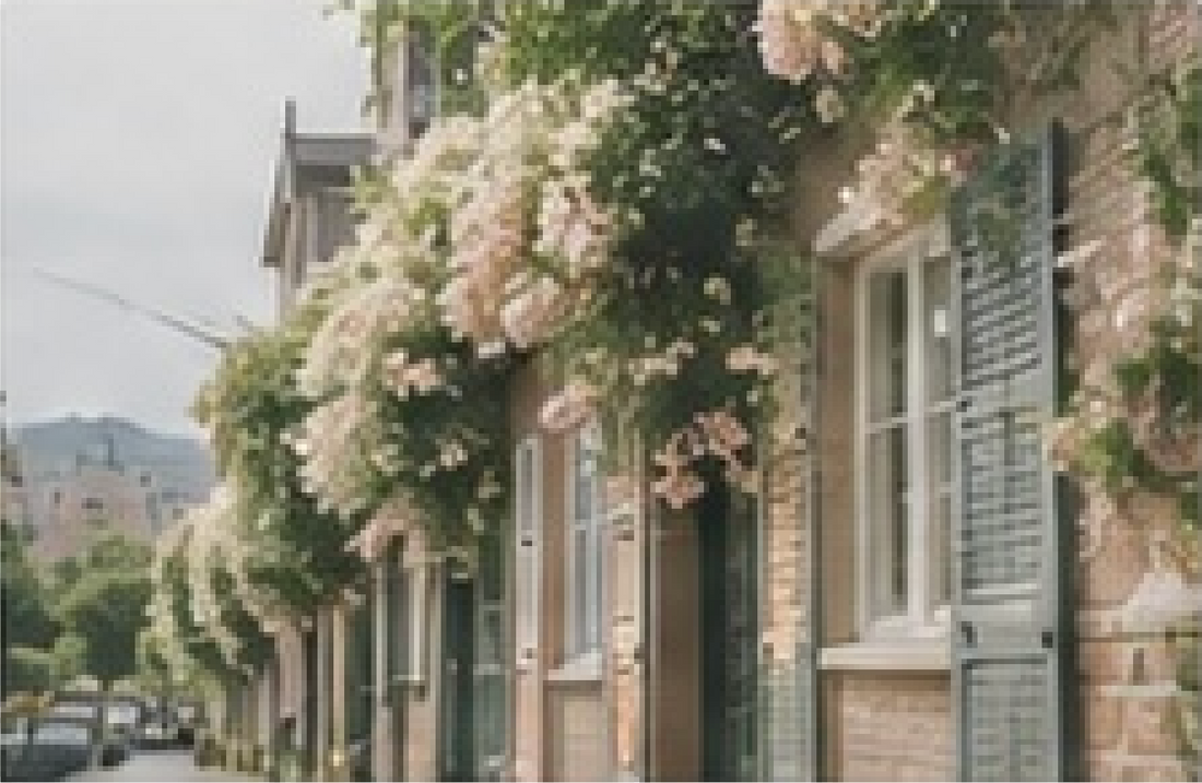 10 Simple Ways to Make Your Home Feel Calmer