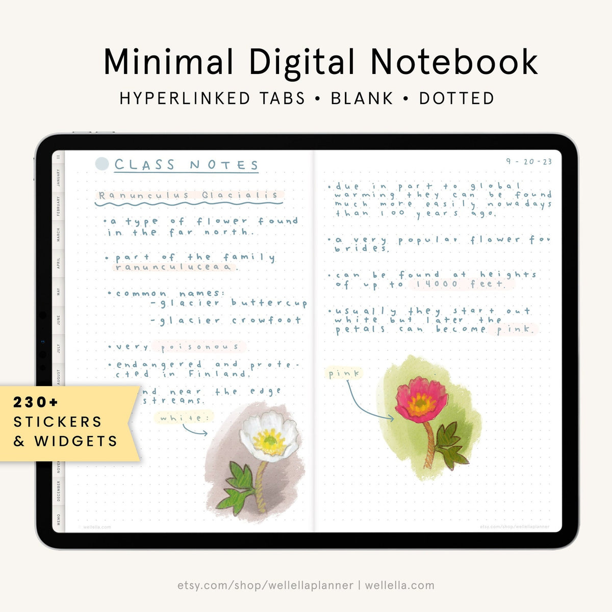 May include: A digital notebook with a dotted grid and a page open to notes about the Ranunculus Glacialis flower. The page includes a hand-drawn illustration of the flower with white petals and a pink center. The text on the page reads "CLASS NOTES" and "Ranunculus Glacialis".